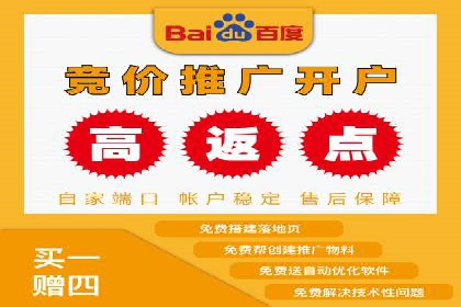 百度SEO推广：从零到一的成长案例